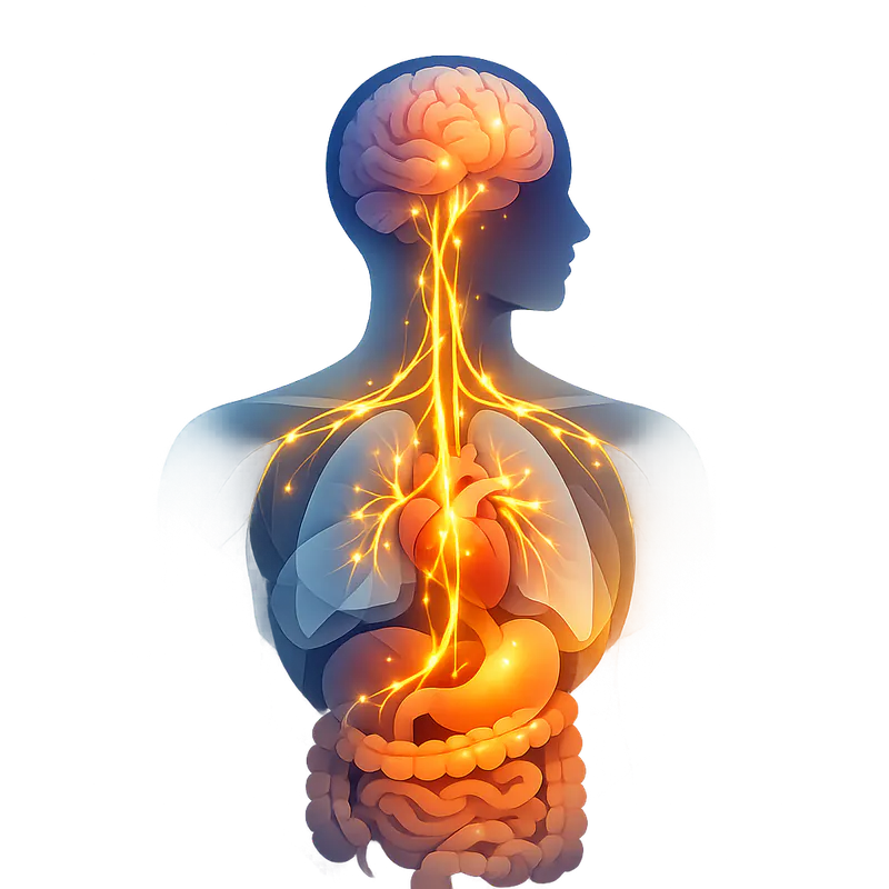 Chronic Pain: Breathwork for Relief