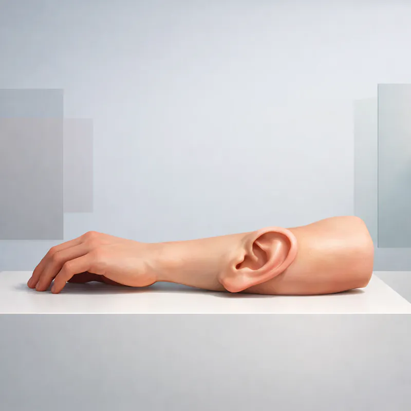 Art vs Ethics: An Ear on an Arm
